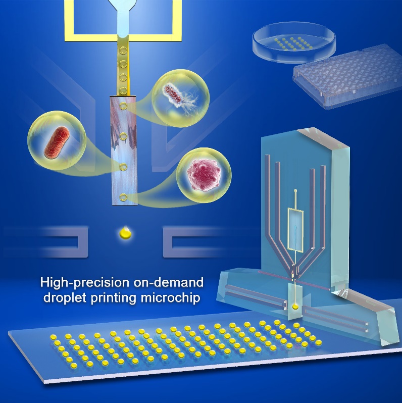 开发服务于单细胞表型筛选的液滴打印平台