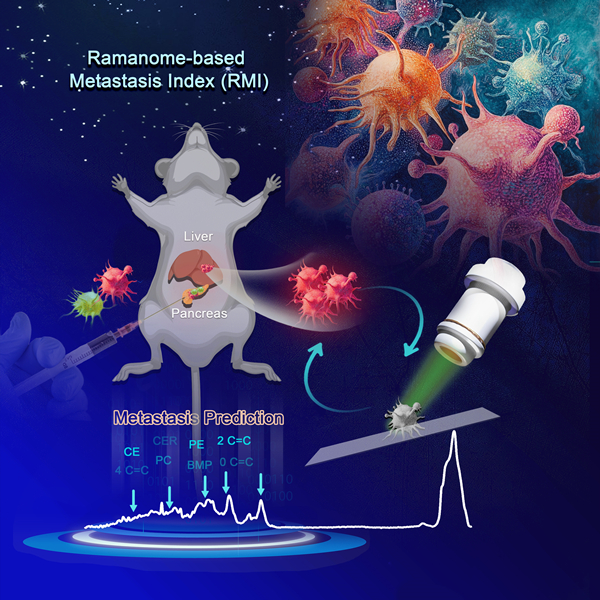 Tumor Metastasis Becomes Visible: The Ramanome-based Metastasis Index Breakthrough