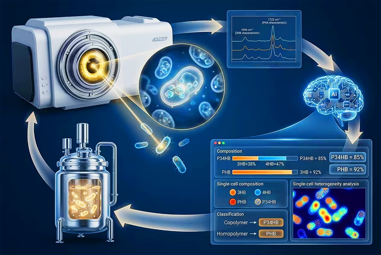 New Process Ramanomics Platform Enables Real-Time, Single-Cell Monitoring of Industrial Fermentation