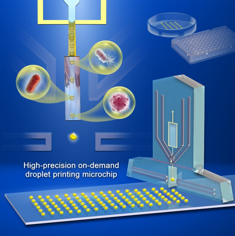 Scientists Develop High-precision Droplet Printing Platform for Single Cell Phenotype Screening